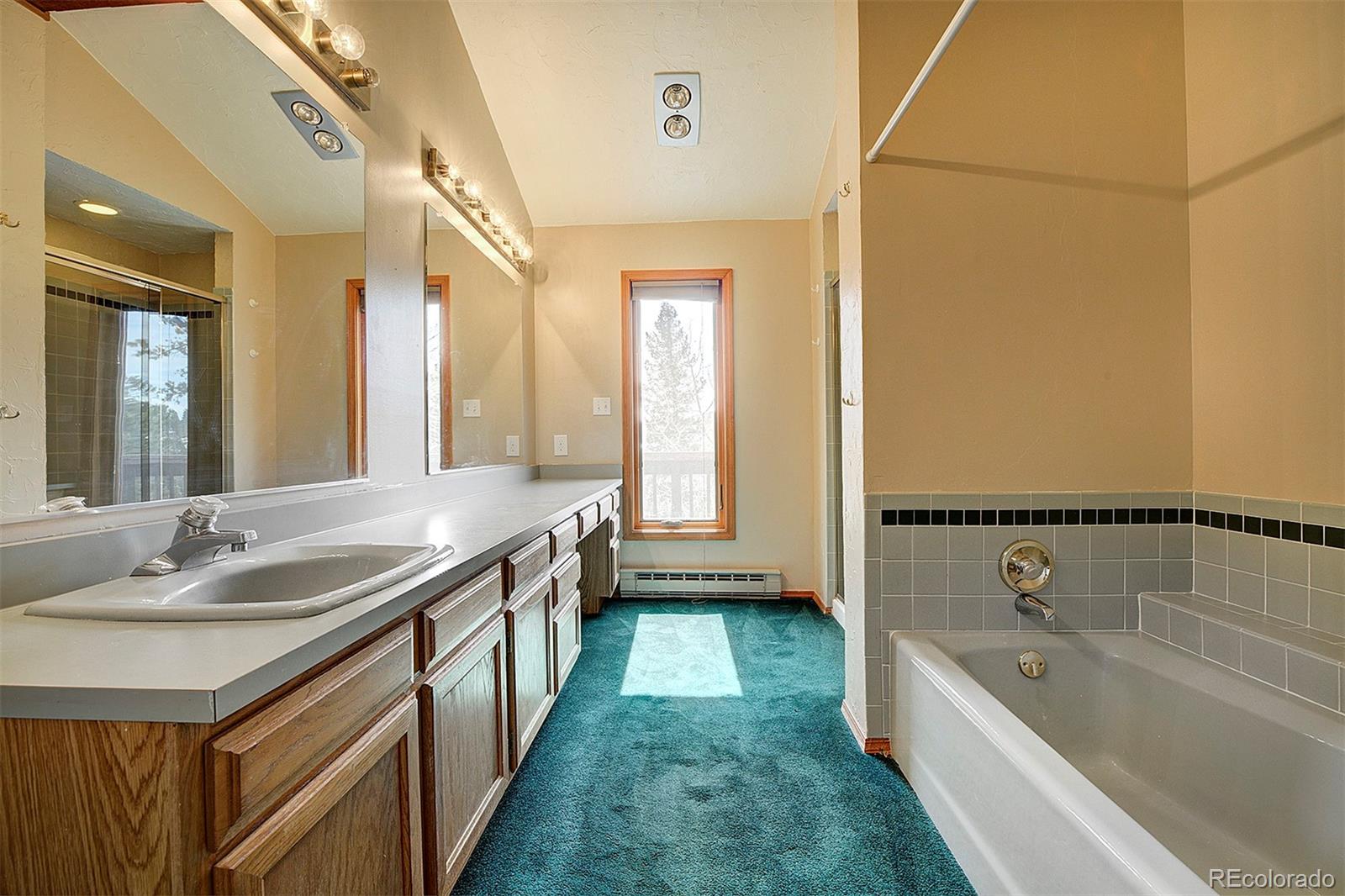 1102 Hitchrack Road Bailey, CO 80421 - Photo 25 of 39