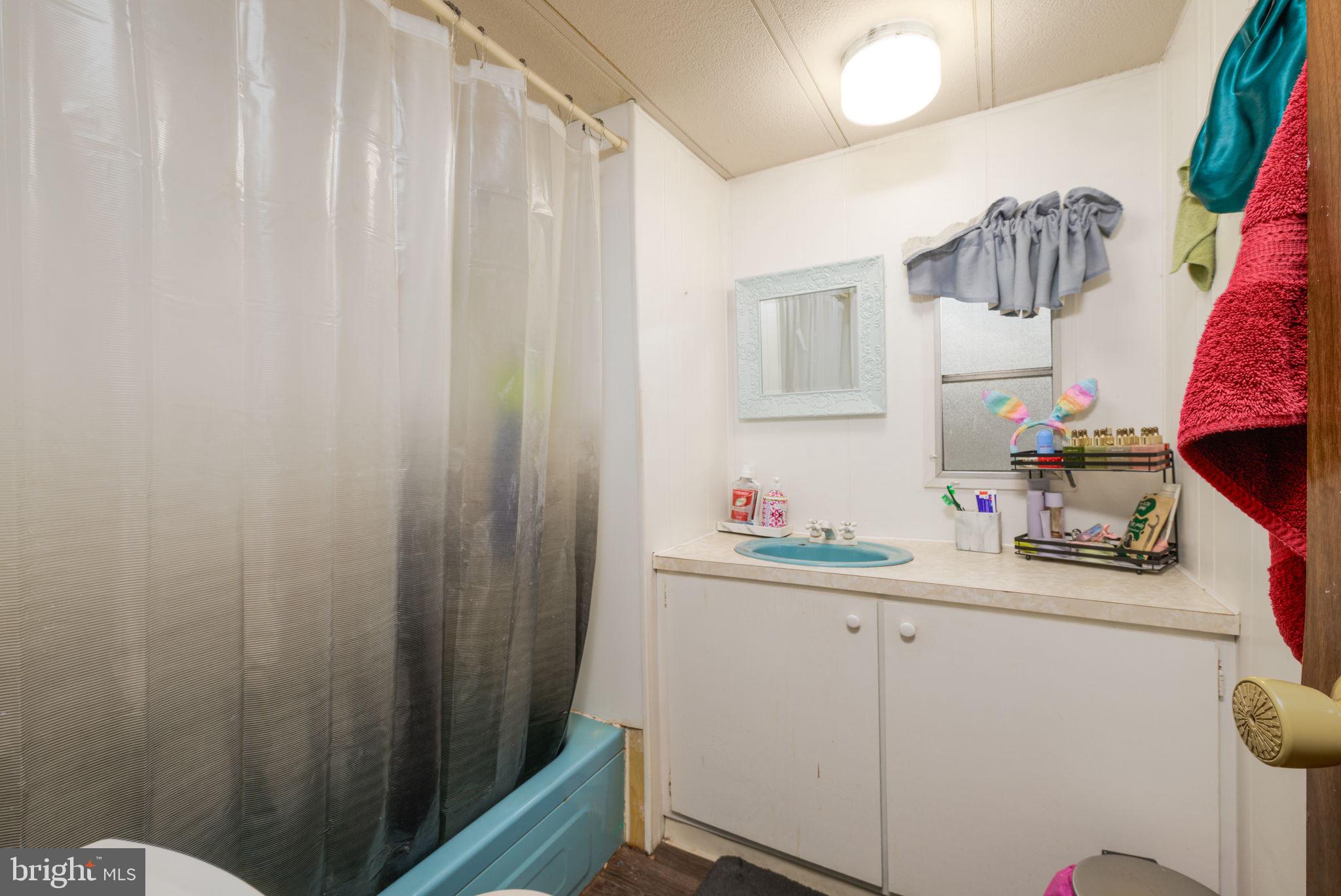 27284 Cottage Road, Unit 9182 Millsboro, DE 19966 - Photo 13 of 18 a bathroom with a sink a mirror and shower curtain