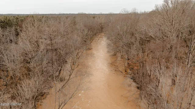 a view of a dry yard with trees