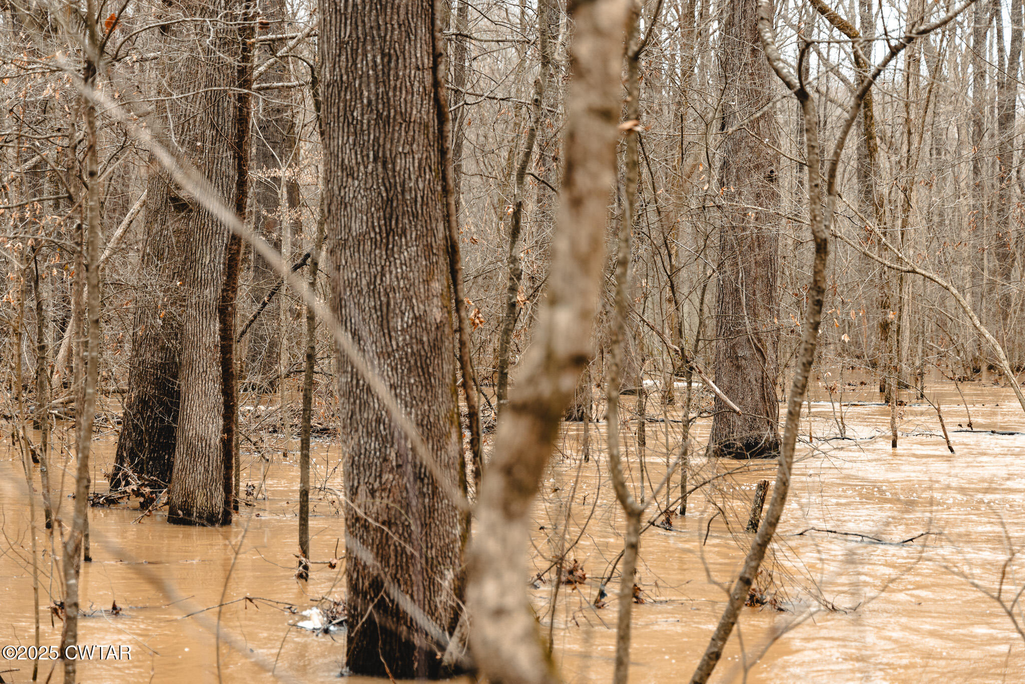 0 Etheridge Levee Road Sharon, TN 38255 - Photo 11 of 37 a view of covered with snow