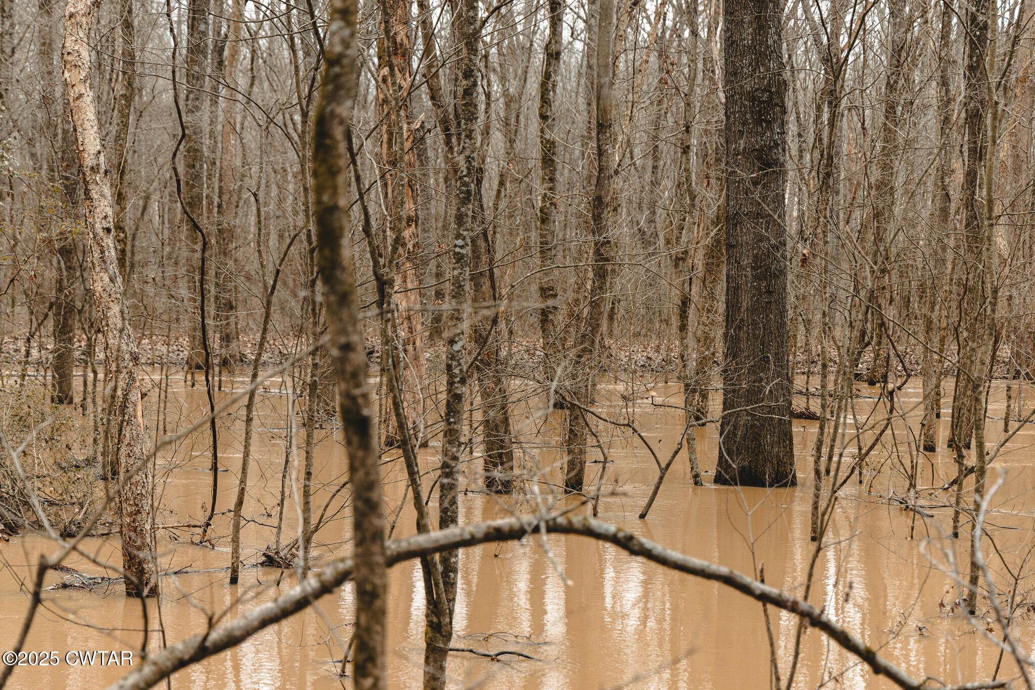 0 Etheridge Levee Road Sharon, TN 38255 - Photo 12 of 37