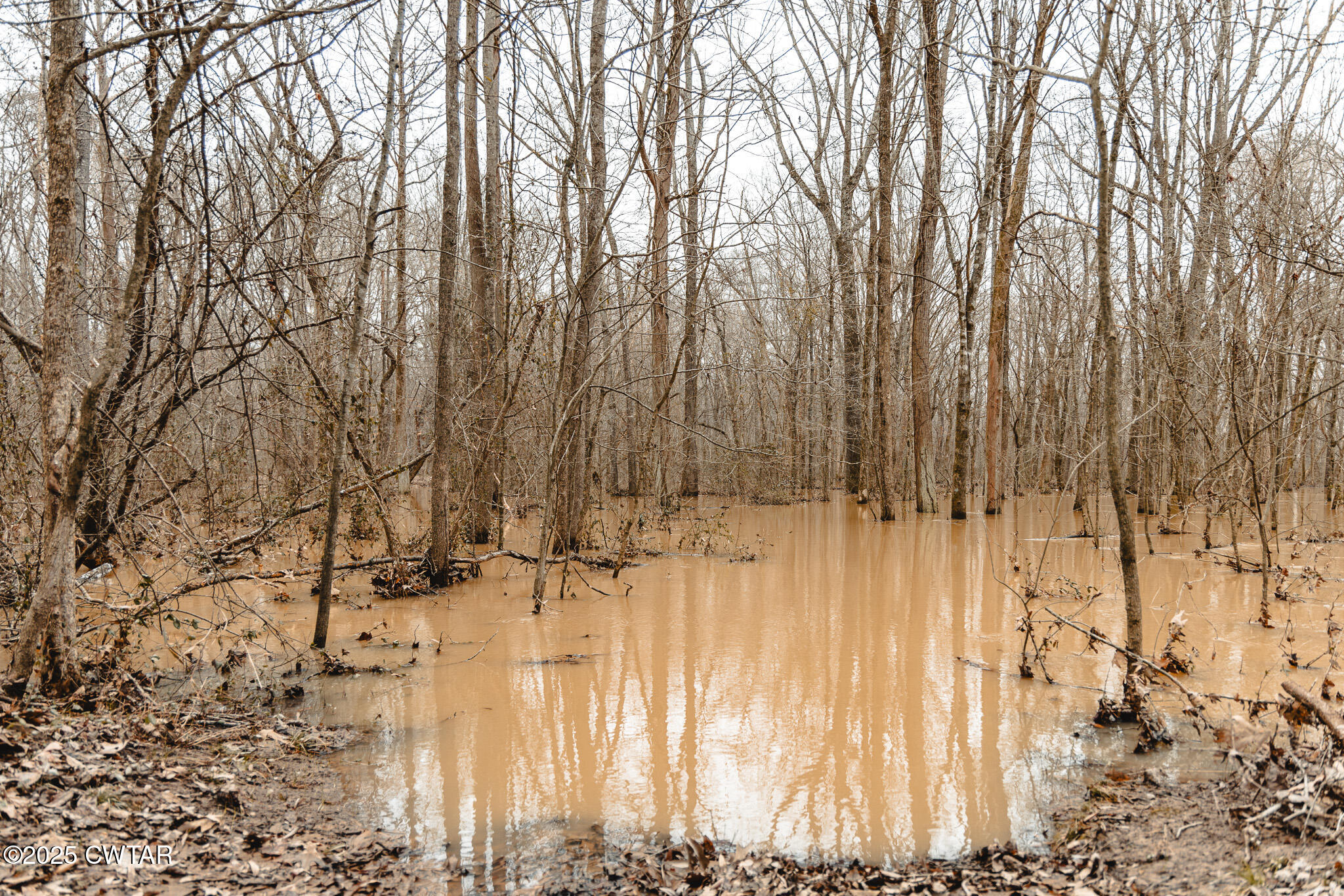 0 Etheridge Levee Road Sharon, TN 38255 - Photo 13 of 37 a view of covered with snow