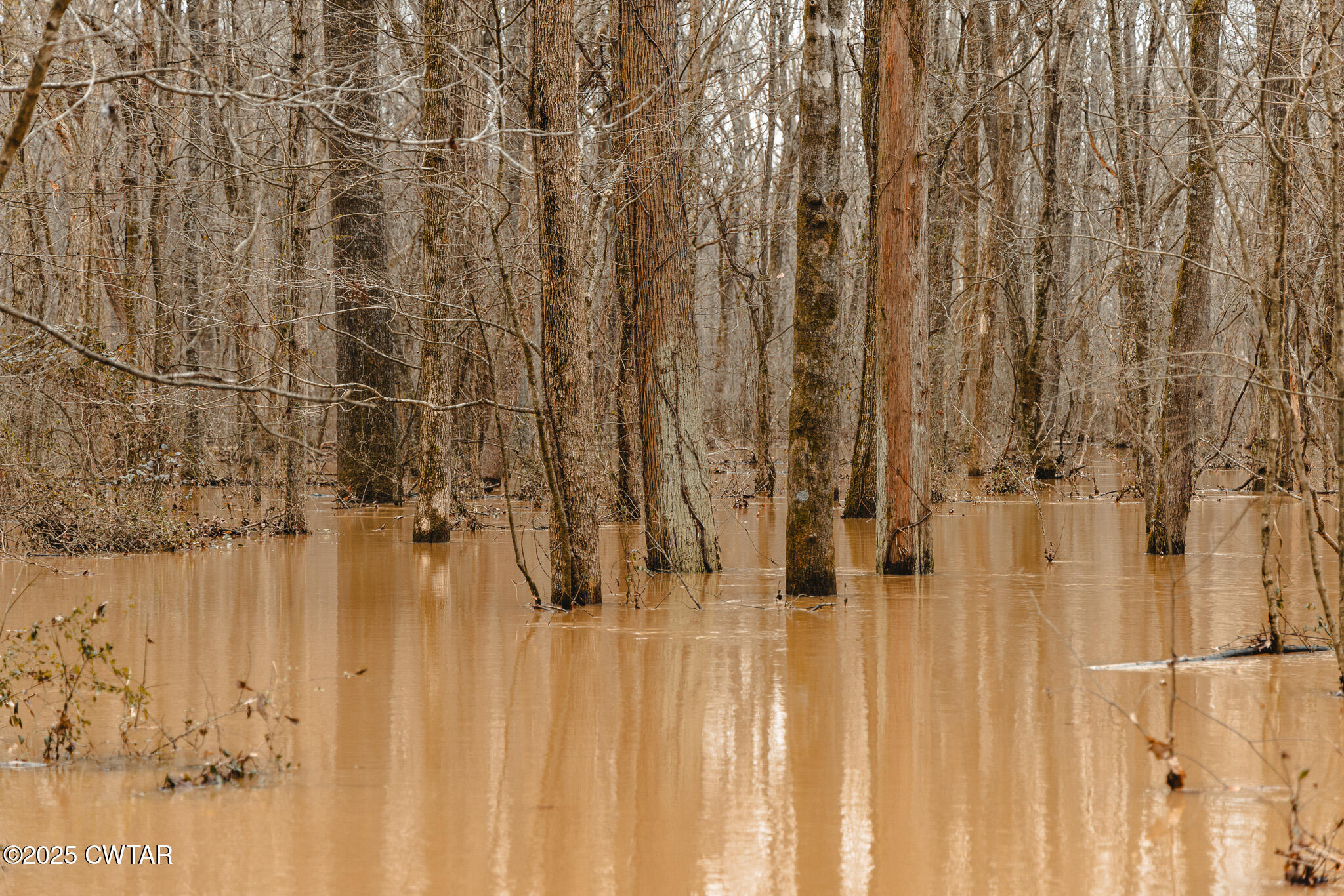 0 Etheridge Levee Road Sharon, TN 38255 - Photo 14 of 37 a view of a bathroom with a shower curtain