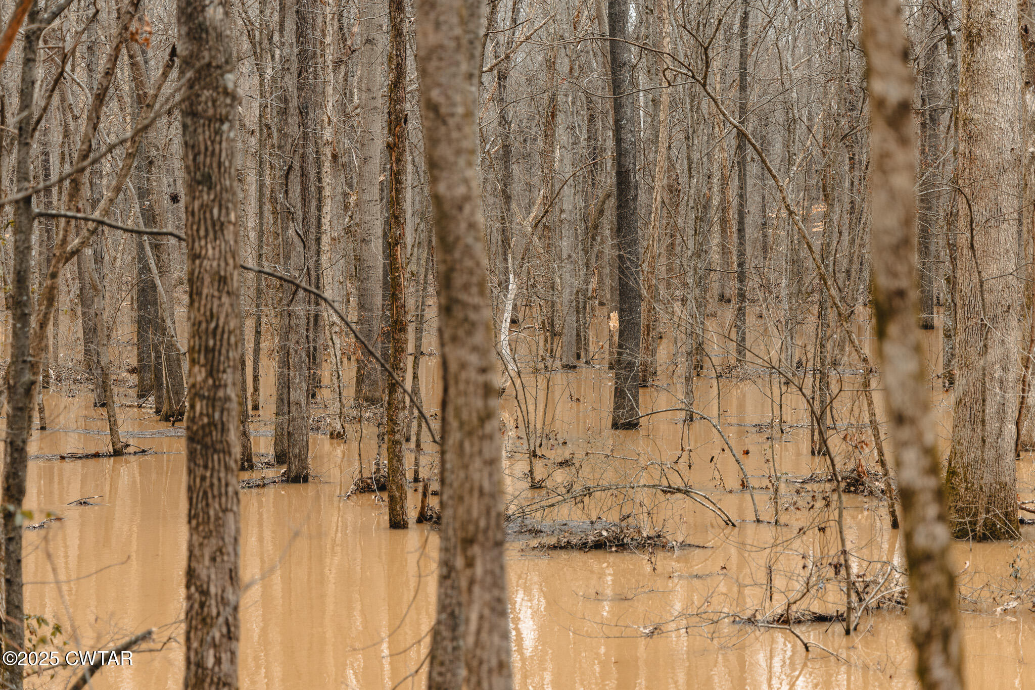 0 Etheridge Levee Road Sharon, TN 38255 - Photo 17 of 37 a close view of shower tap