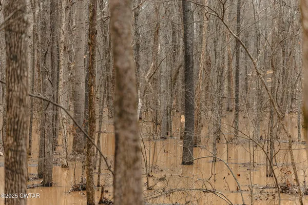a view of a pathway with a wrought fence