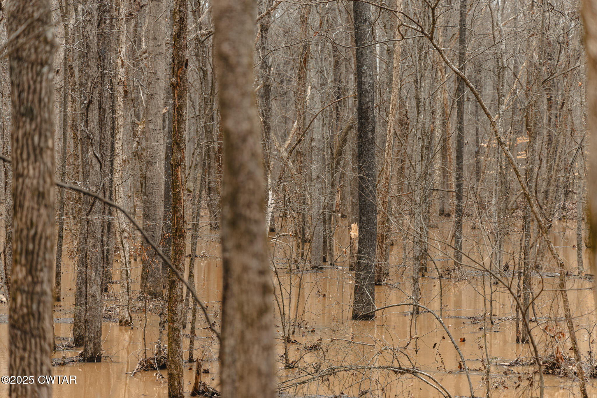 0 Etheridge Levee Road Sharon, TN 38255 - Photo 18 of 37