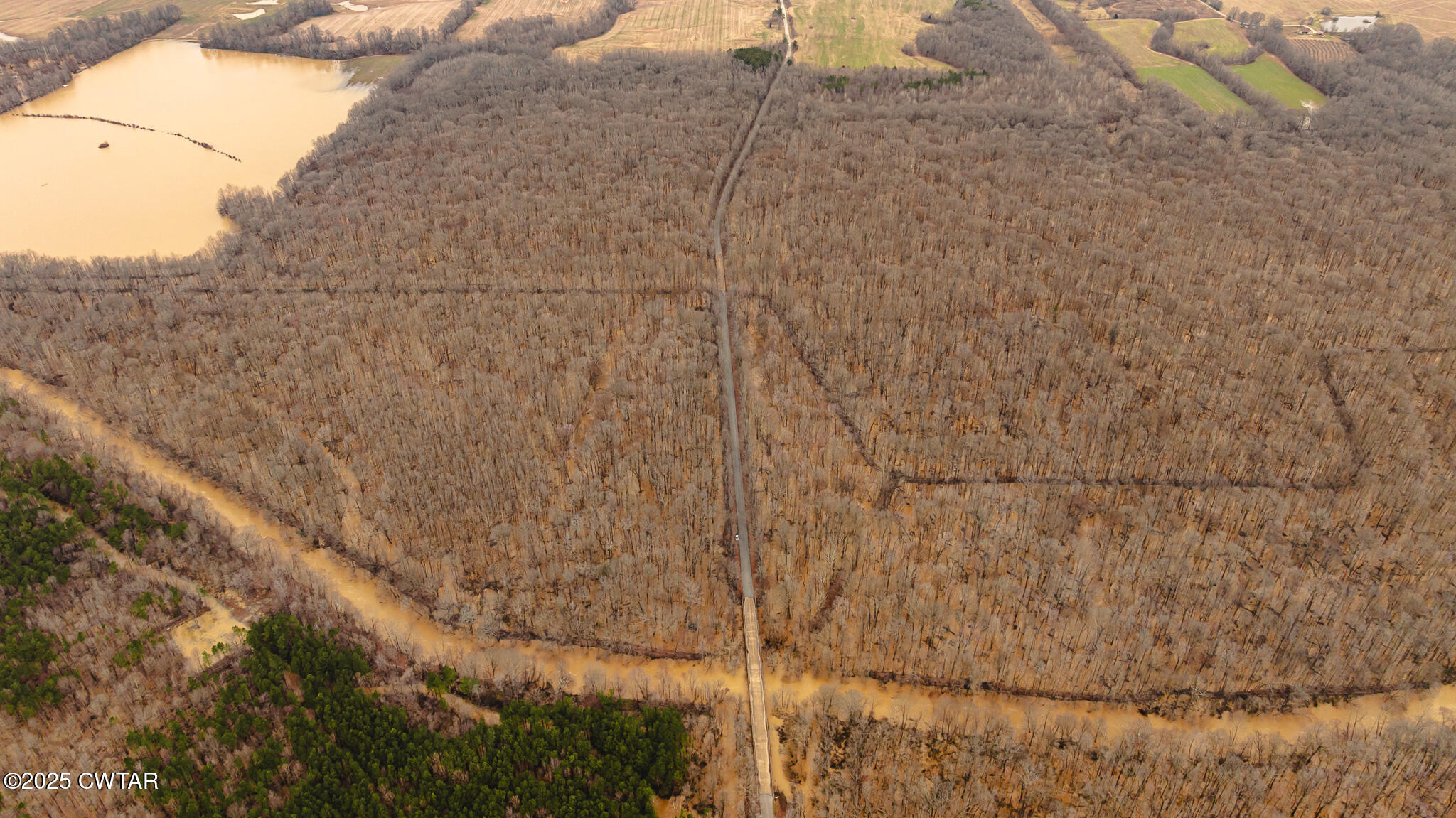 0 Etheridge Levee Road Sharon, TN 38255 - Photo 20 of 37 a close up of a white marble wall