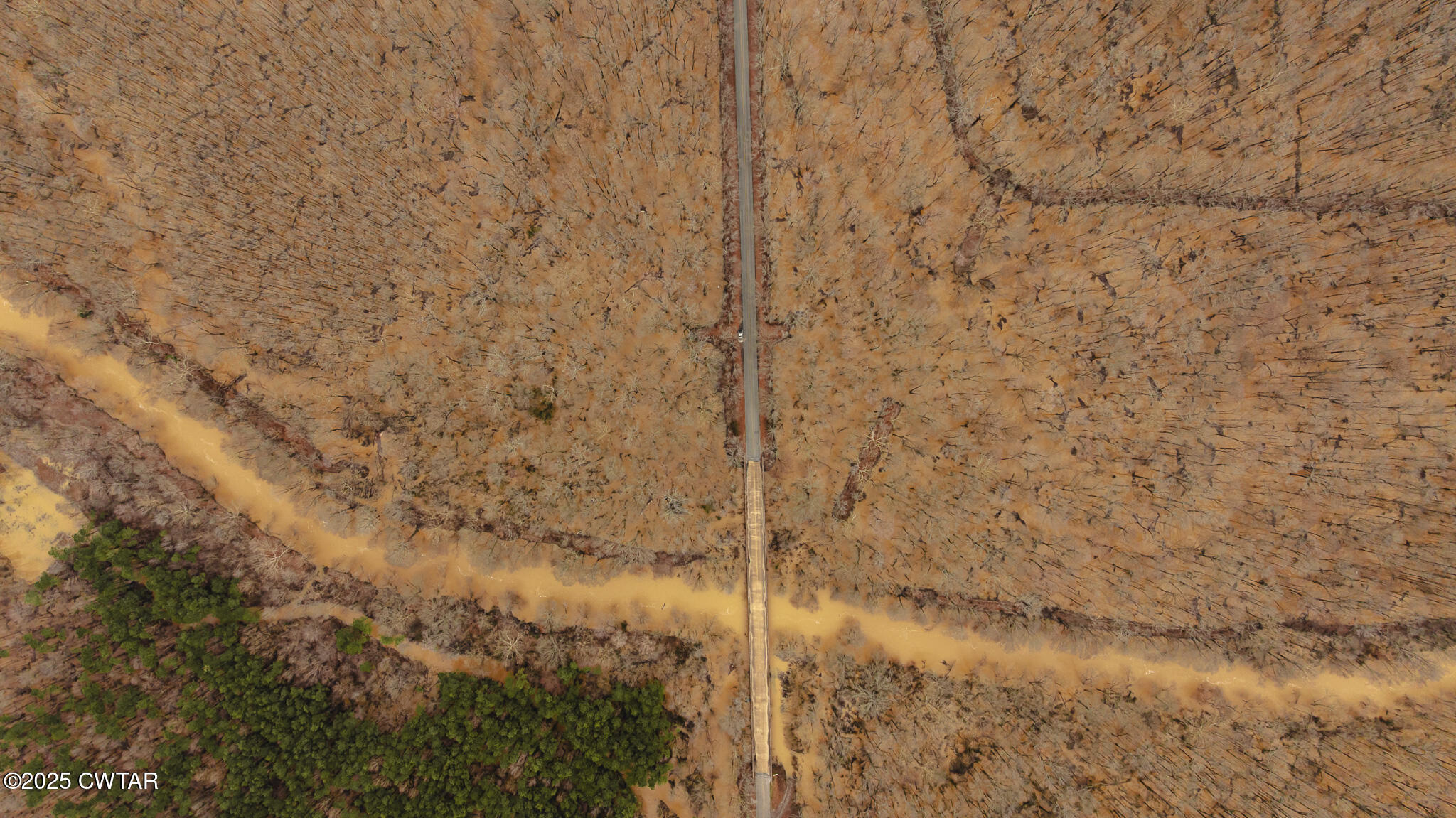 0 Etheridge Levee Road Sharon, TN 38255 - Photo 21 of 37 a bathroom with a shower