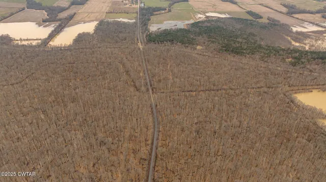 a view of a lake in middle of forest
