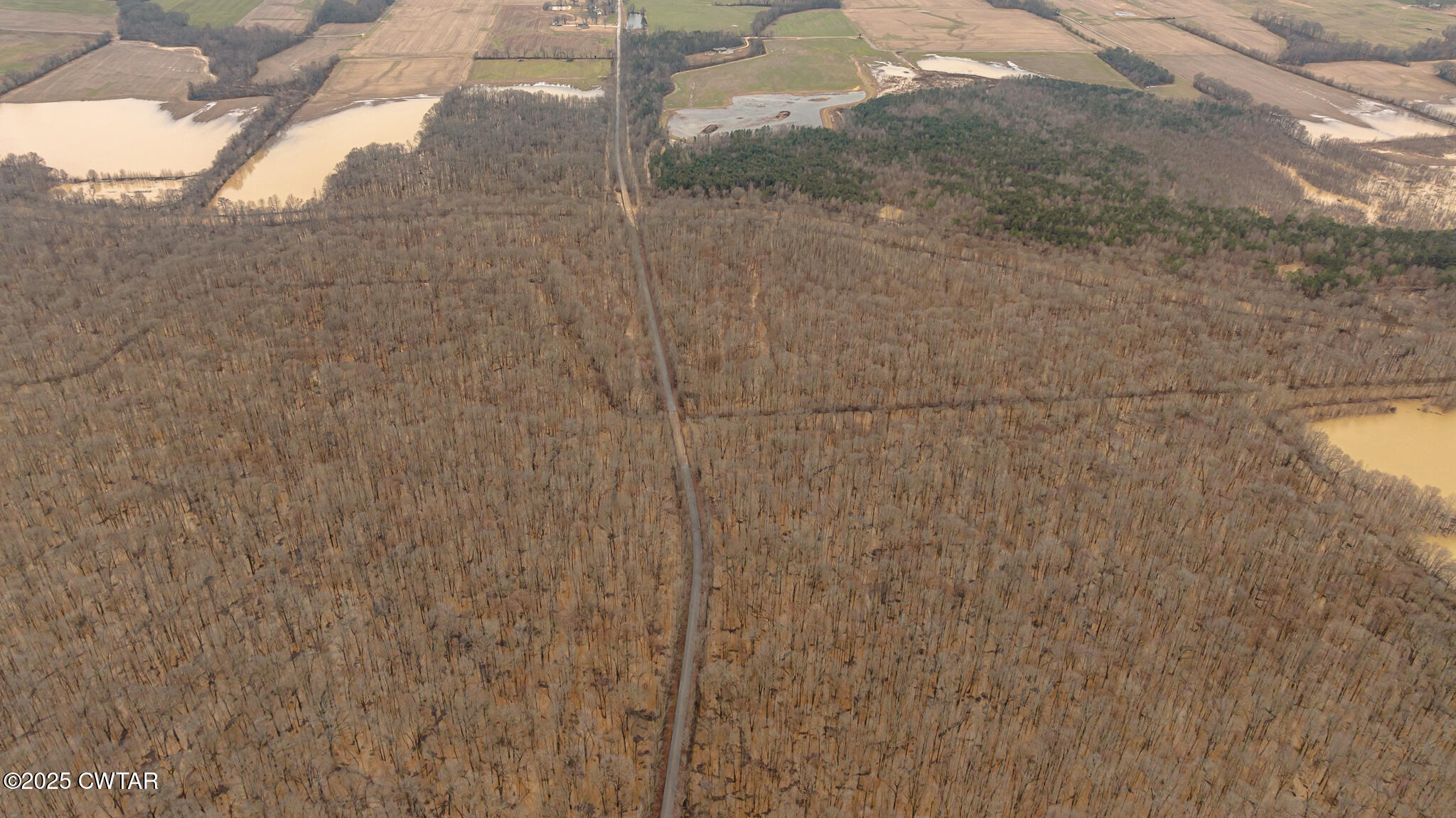0 Etheridge Levee Road Sharon, TN 38255 - Photo 22 of 37 a bathroom with a bathtub