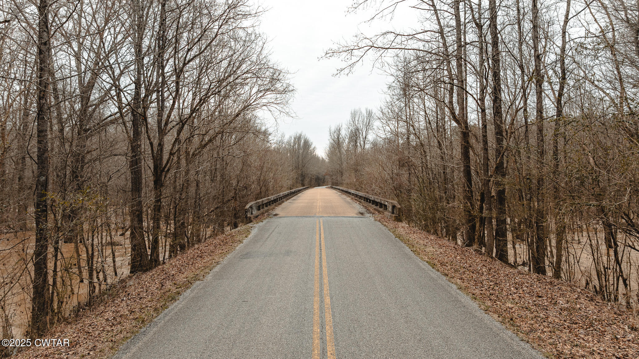 0 Etheridge Levee Road Sharon, TN 38255 - Photo 24 of 37 a view of a pathway with a wrought fence