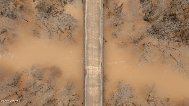 a view of a dry yard