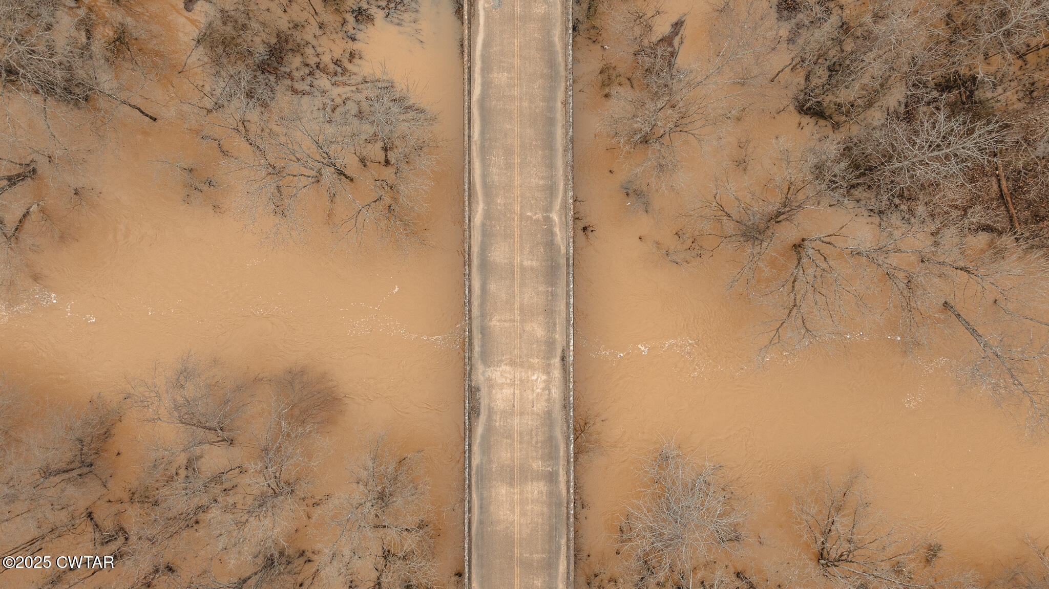 0 Etheridge Levee Road Sharon, TN 38255 - Photo 25 of 37 a bathroom with a shower