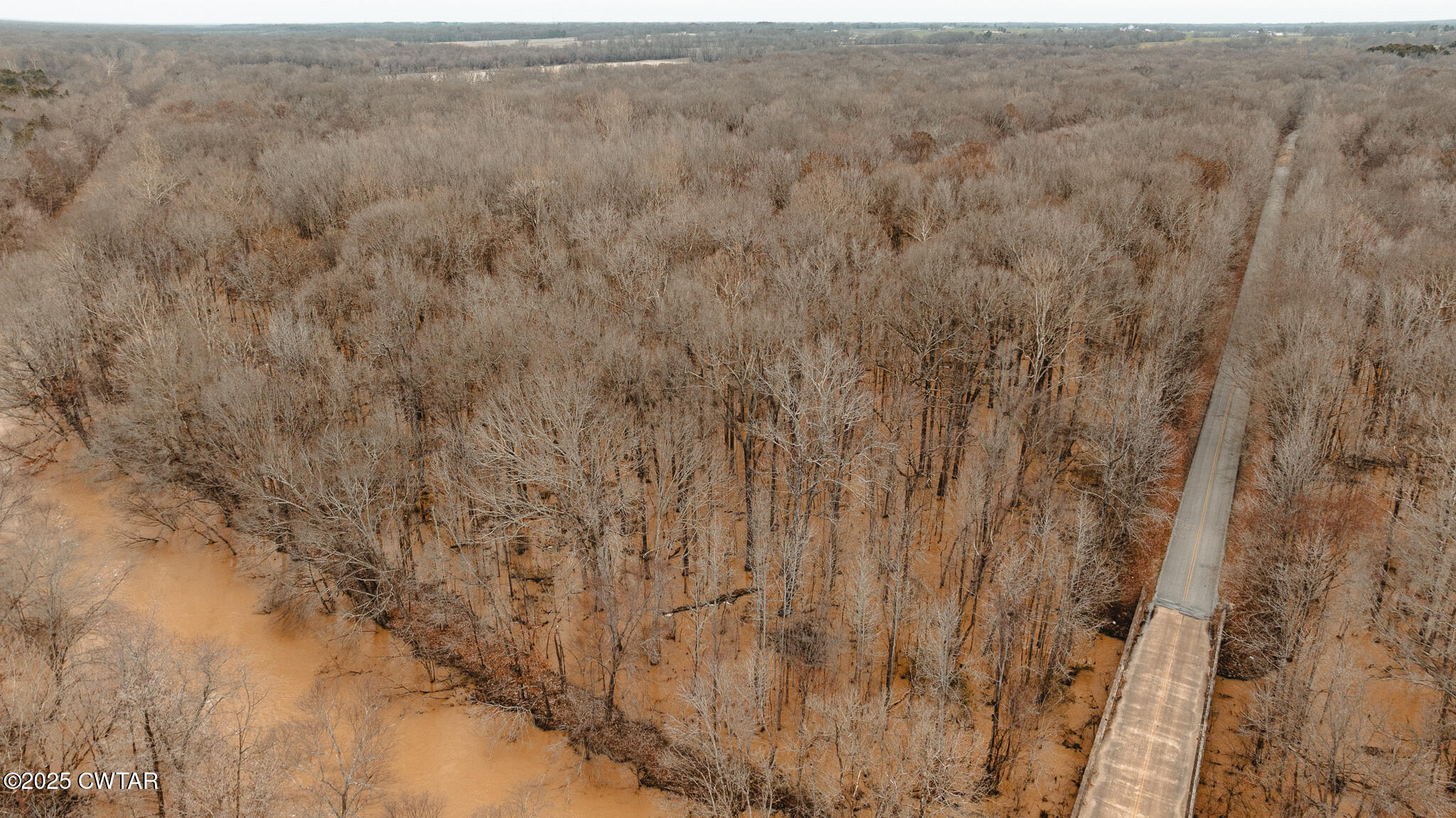 0 Etheridge Levee Road Sharon, TN 38255 - Photo 26 of 37 a view of a yard