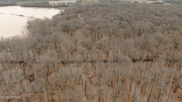 $190,000 | 0 Etheridge Levee Road, Sharon, TN 38255