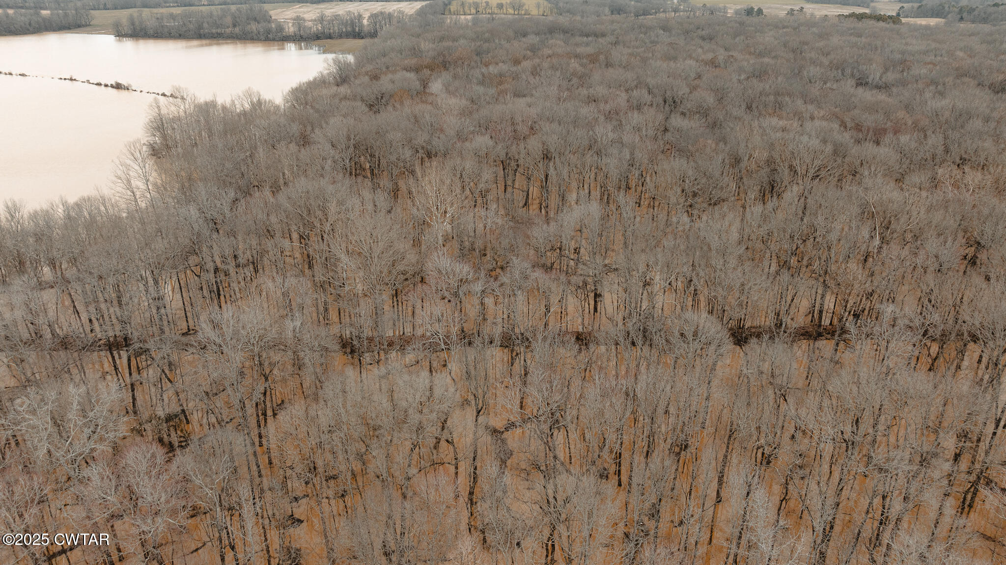 0 Etheridge Levee Road Sharon, TN 38255 - Photo 29 of 37 a view of a lake in middle of forest