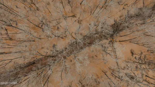 $190,000 | 0 Etheridge Levee Road, Sharon, TN 38255