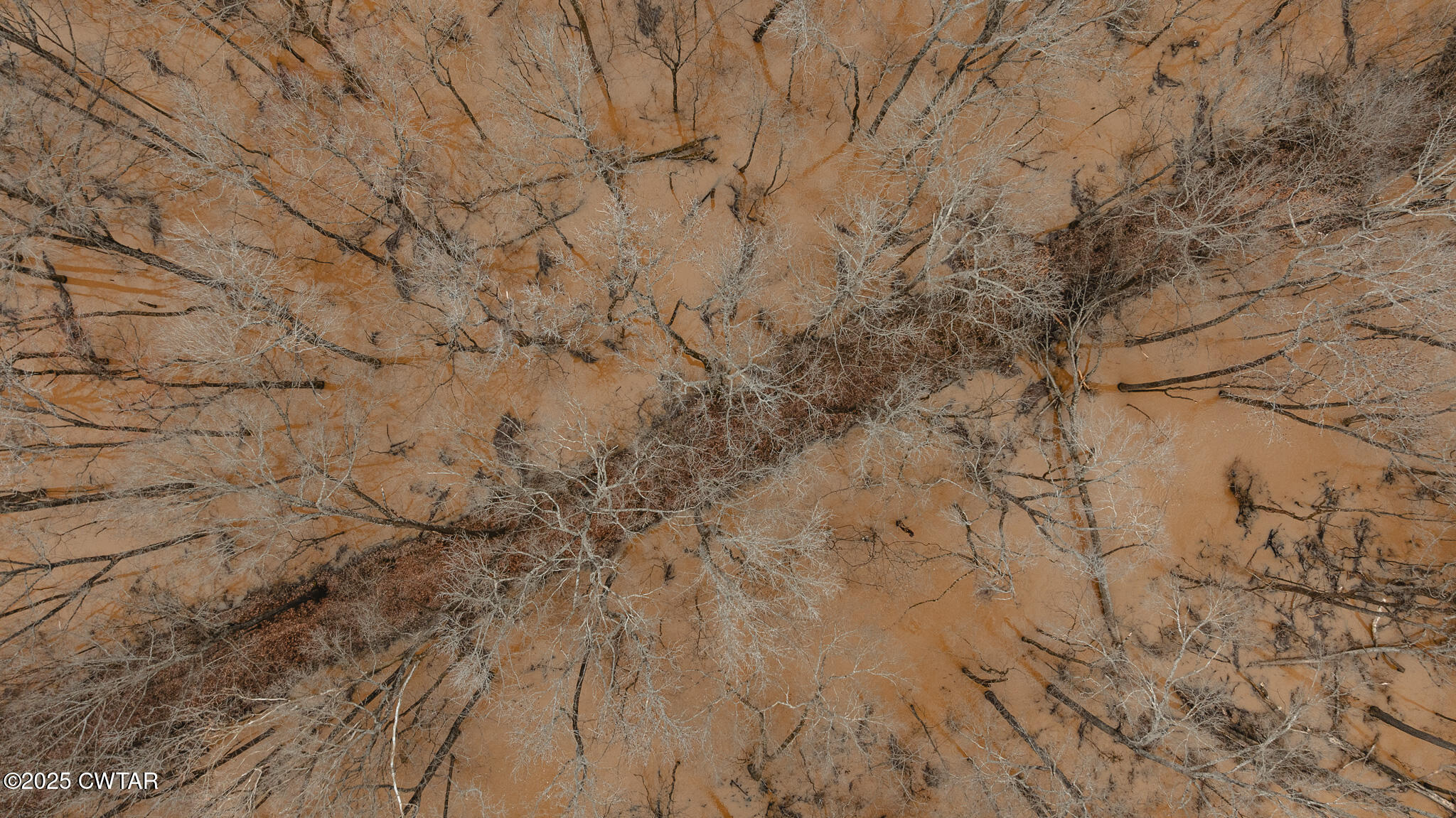 0 Etheridge Levee Road Sharon, TN 38255 - Photo 30 of 37