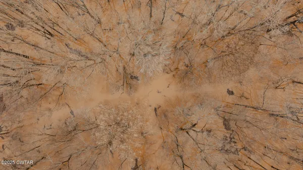 a view of a dry yard