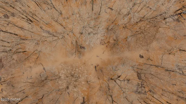 a view of a dry yard