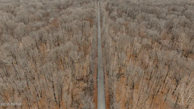 $210,750 | 0 Etheridge Levee Road, Sharon, TN 38255