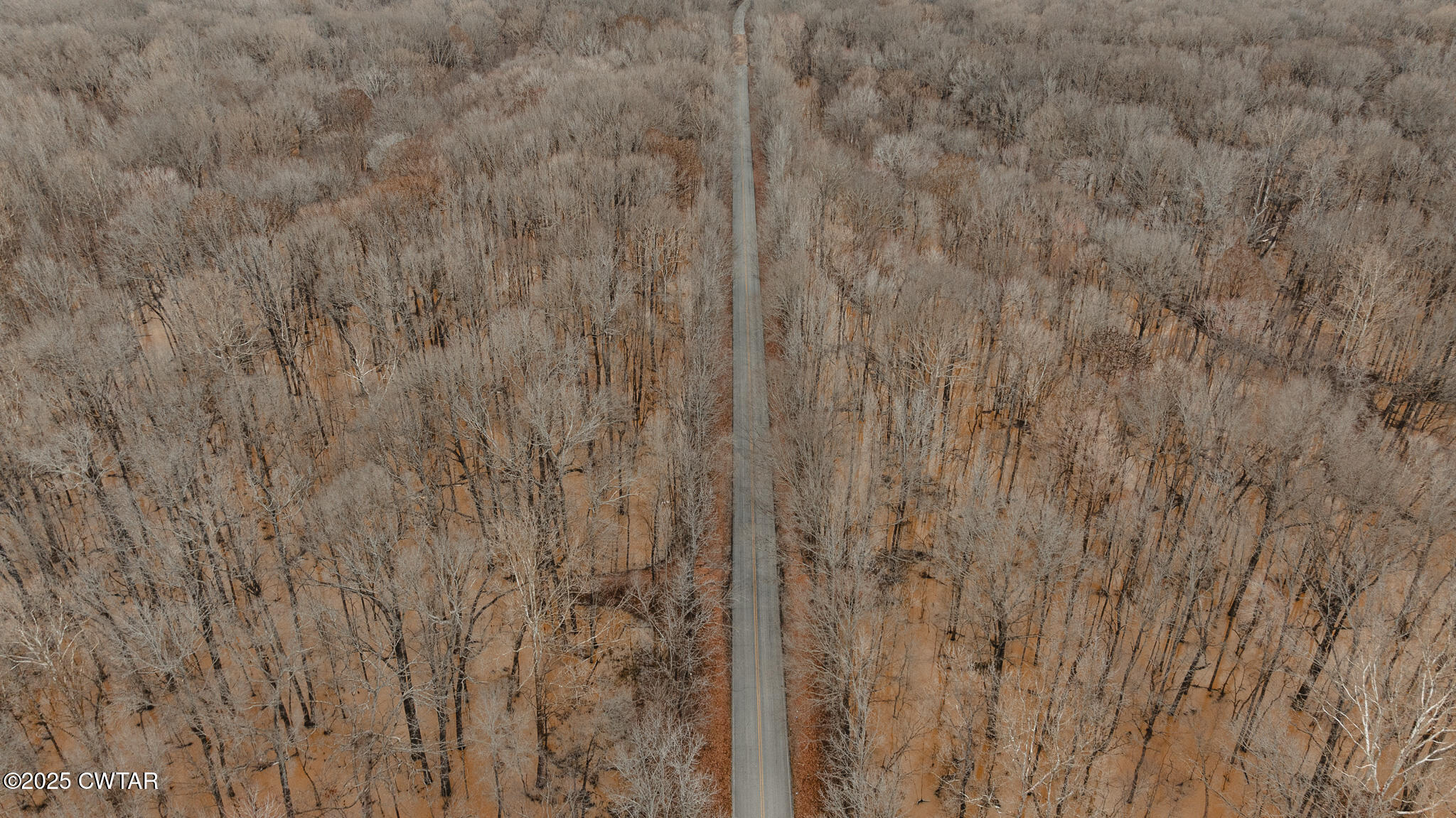 0 Etheridge Levee Road Sharon, TN 38255 - Photo 31 of 37 a close view of shower