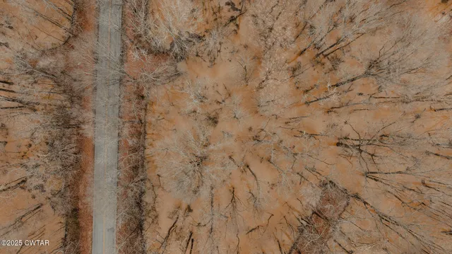 $210,750 | 0 Etheridge Levee Road, Sharon, TN 38255