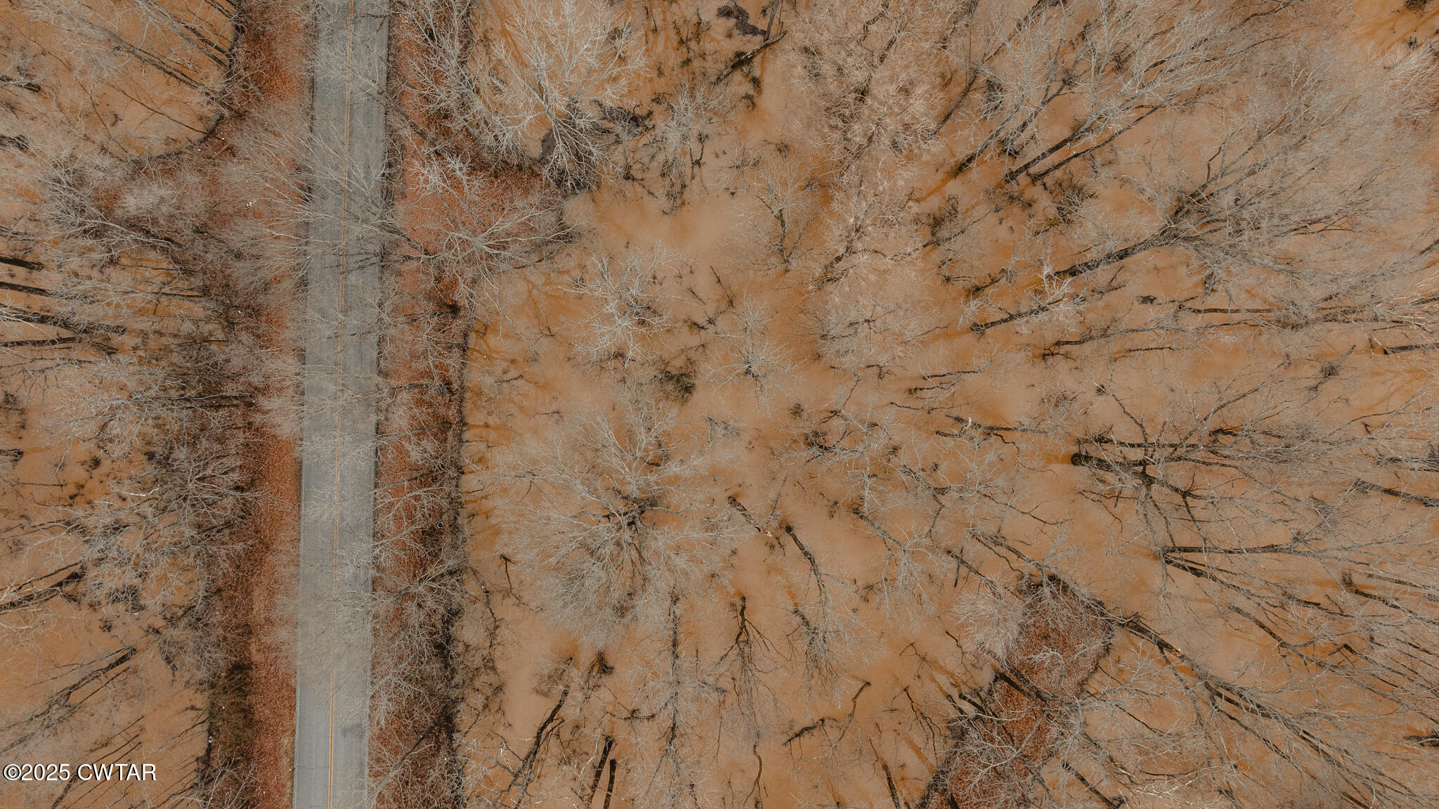 0 Etheridge Levee Road Sharon, TN 38255 - Photo 32 of 37 a close up of a wooden wall