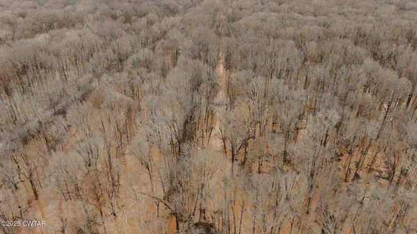 $190,000 | 0 Etheridge Levee Road, Sharon, TN 38255