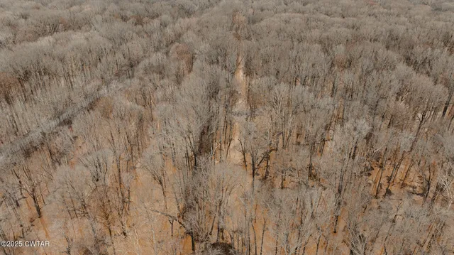 $210,750 | 0 Etheridge Levee Road, Sharon, TN 38255