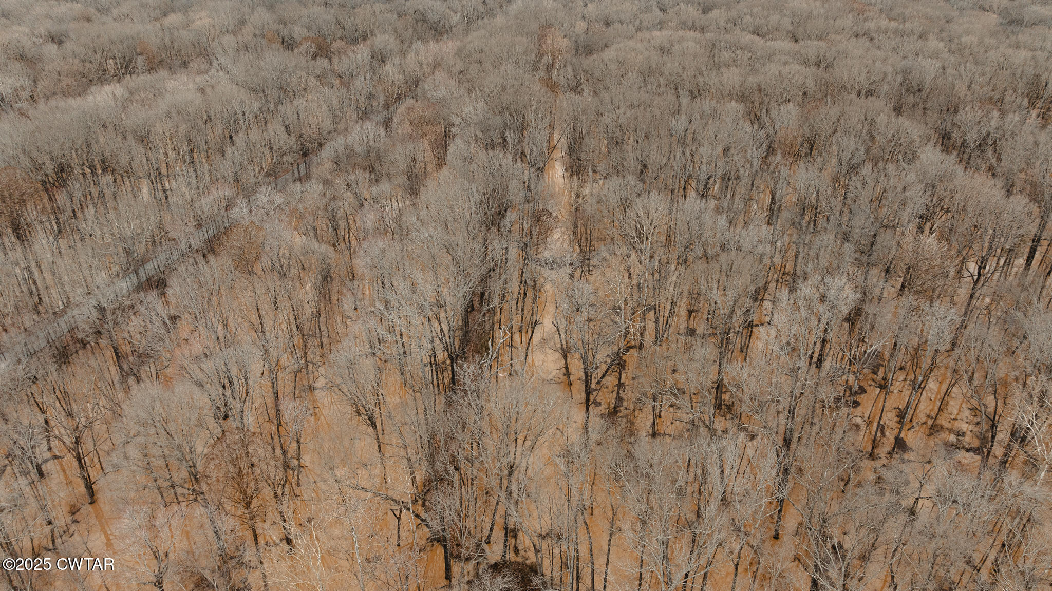 0 Etheridge Levee Road Sharon, TN 38255 - Photo 33 of 37 a view of a dry yard