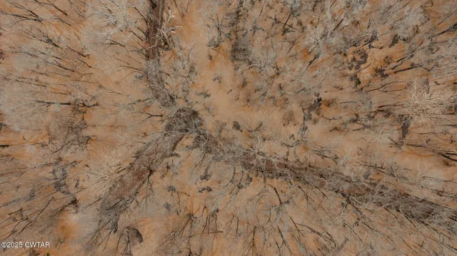 $210,750 | 0 Etheridge Levee Road, Sharon, TN 38255