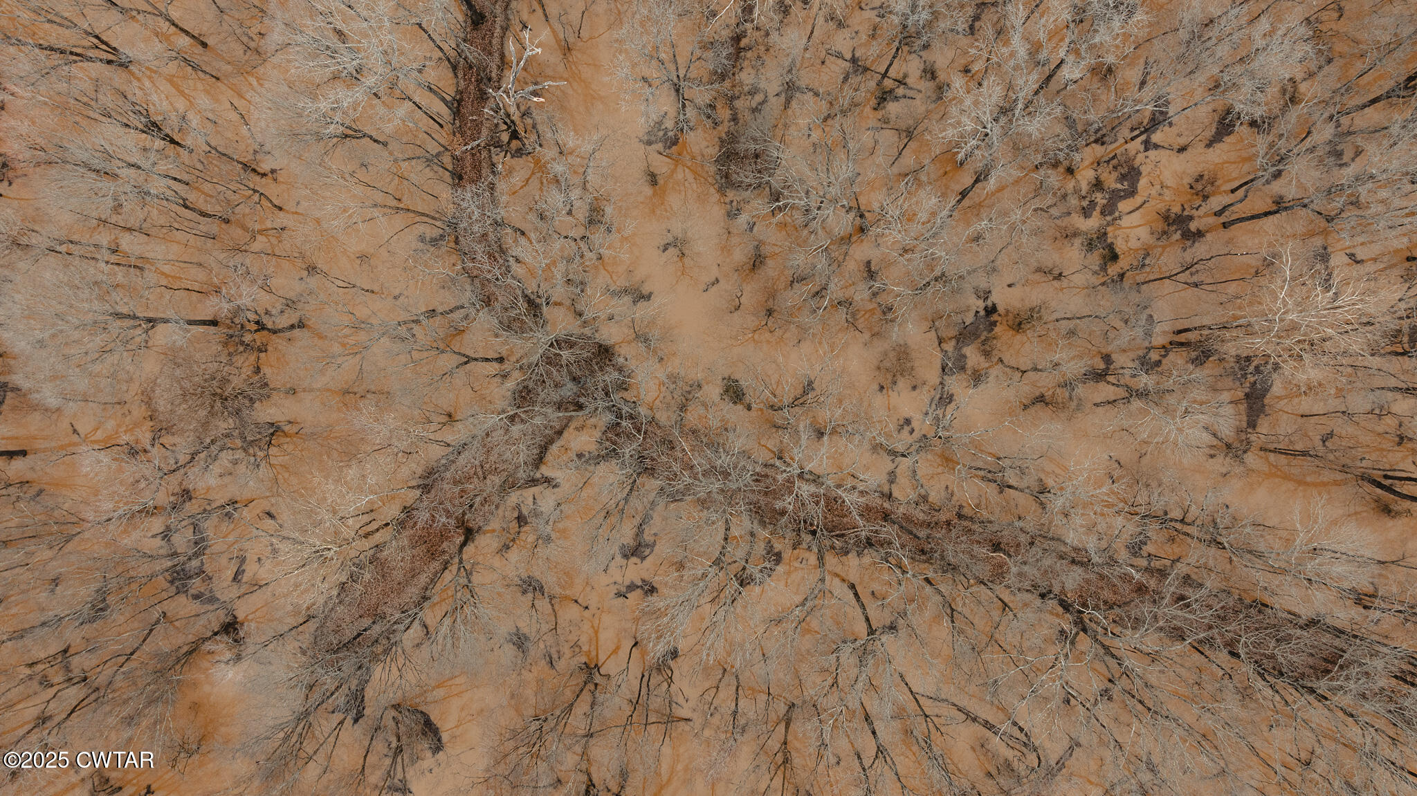 0 Etheridge Levee Road Sharon, TN 38255 - Photo 34 of 37