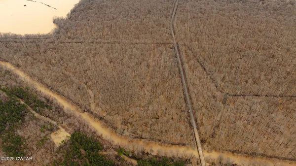 $190,000 | 0 Etheridge Levee Road, Sharon, TN 38255