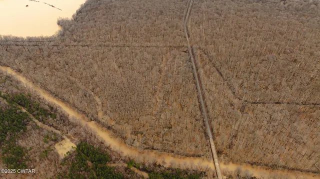 $210,750 | 0 Etheridge Levee Road, Sharon, TN 38255