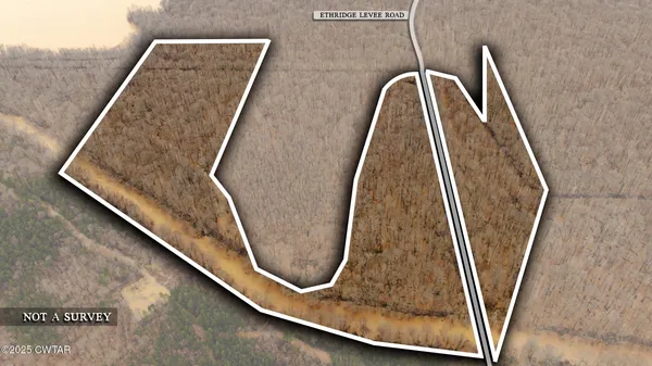 $190,000 | 0 Etheridge Levee Road, Sharon, TN 38255