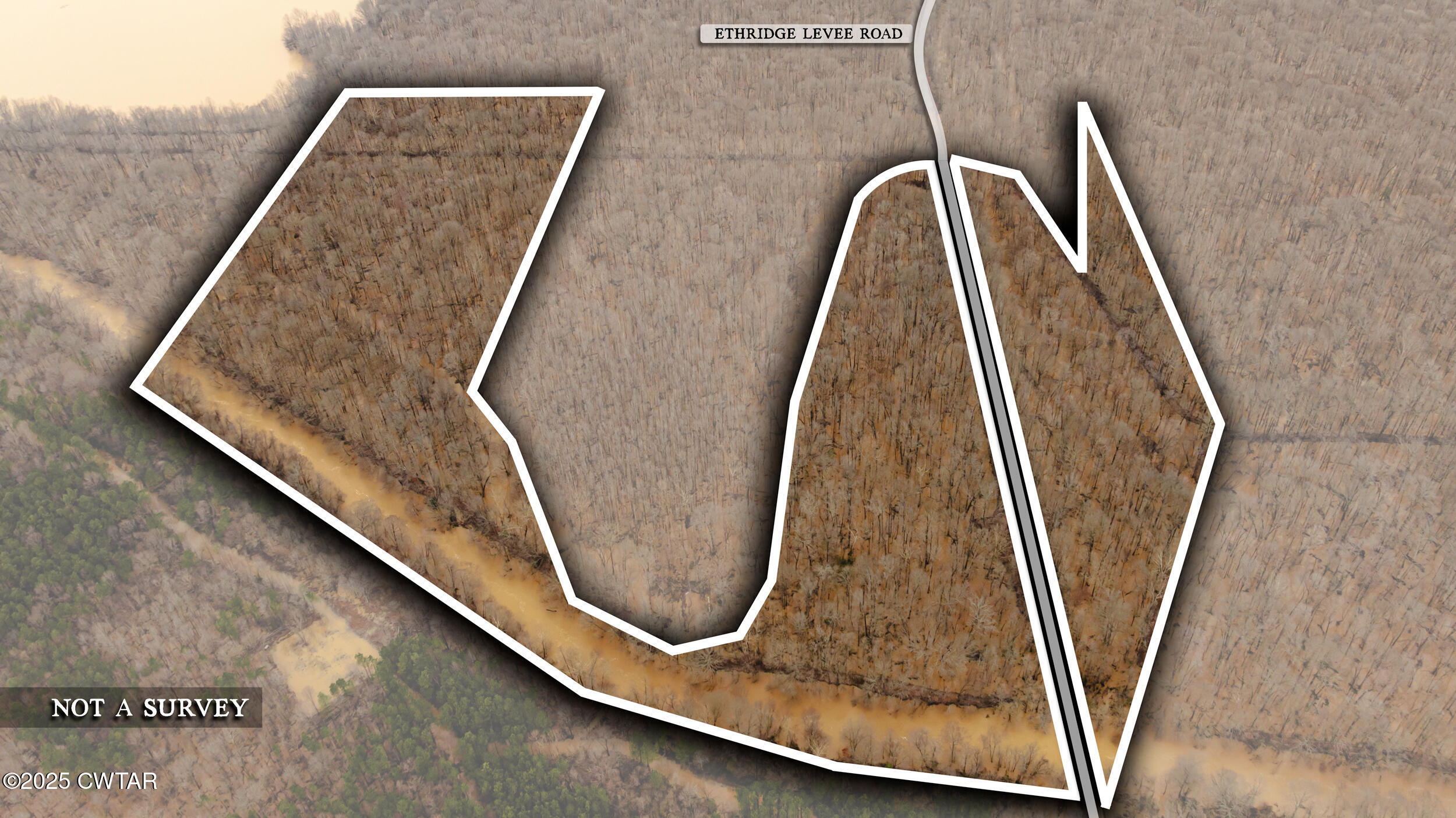 0 Etheridge Levee Road Sharon, TN 38255 - Photo 36 of 37