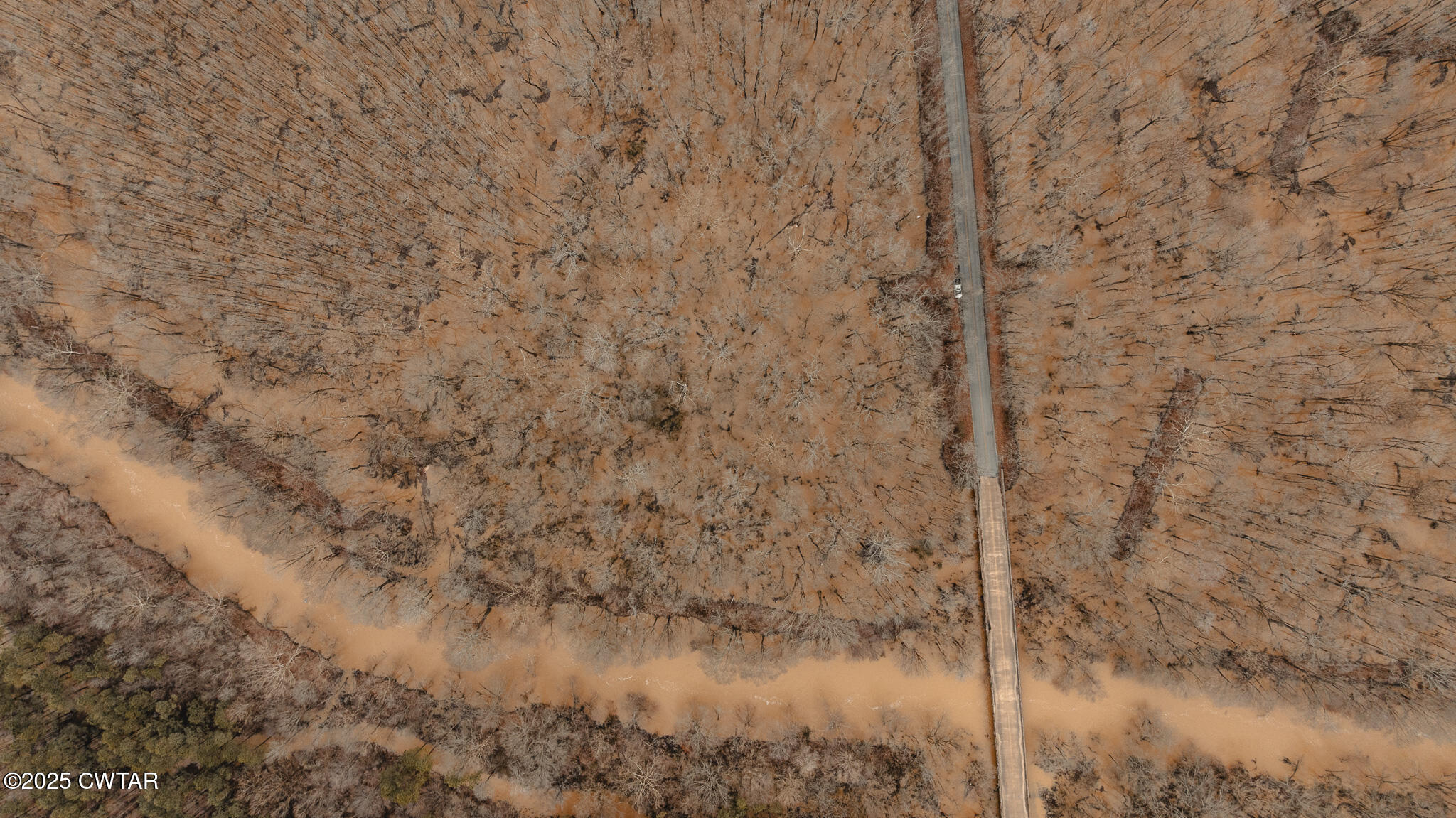 0 Etheridge Levee Road Sharon, TN 38255 - Photo 37 of 37 a close view of shower