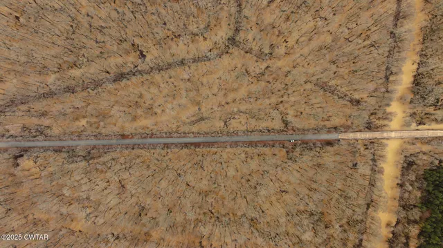 a view of a dry yard