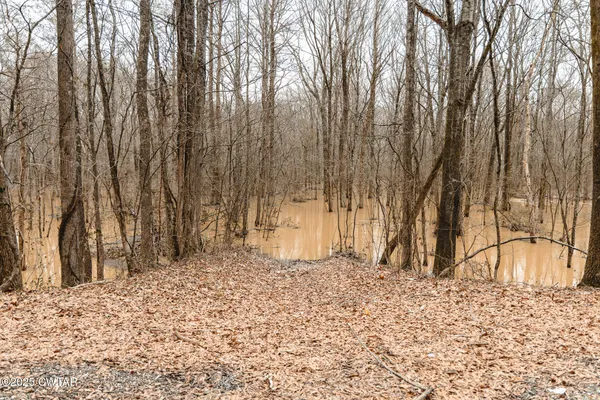 a view of a dry yard