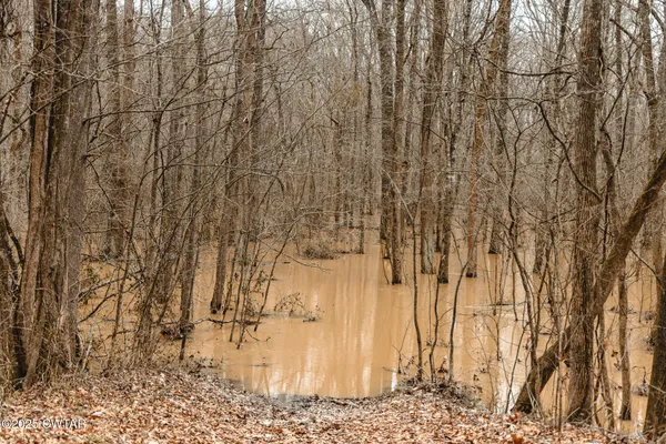 a view of a backyard of the house
