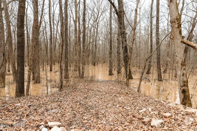 a view of covered with snow