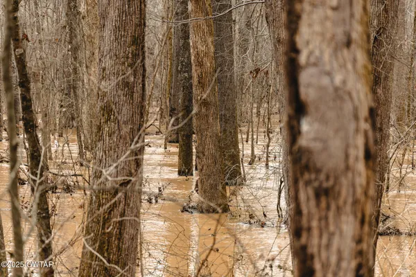 a view of covered with snow