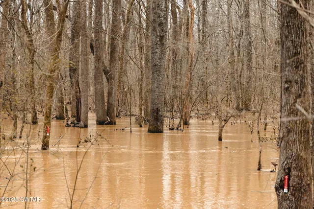 a view of a bathroom with a shower curtain