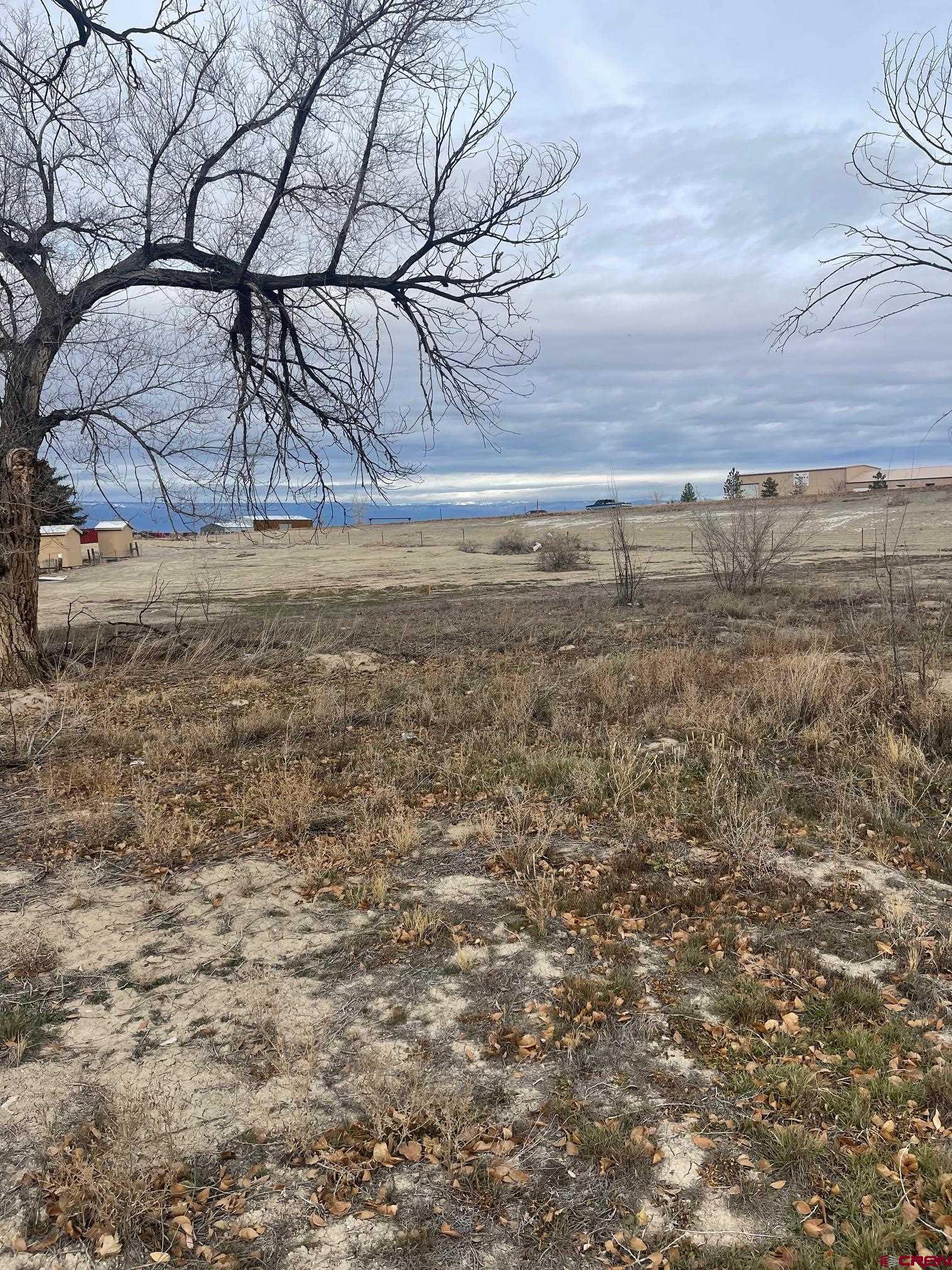Parcel 2 North 2nd Street Olathe, CO 81425 - Photo 8 of 13 a view of wooden floor and a building