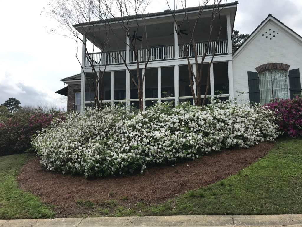 297 Roses Bluff Drive Madison, MS 39110 - Photo 46 of 50 Photo 46