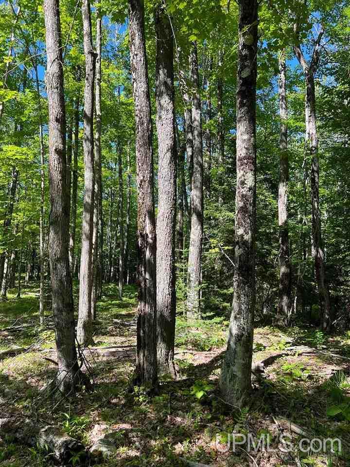 Tbd1 Dog Patch Road, Unit LOT H Lanse, MI 49946 - Photo 22 of 24 Gallery Image 22