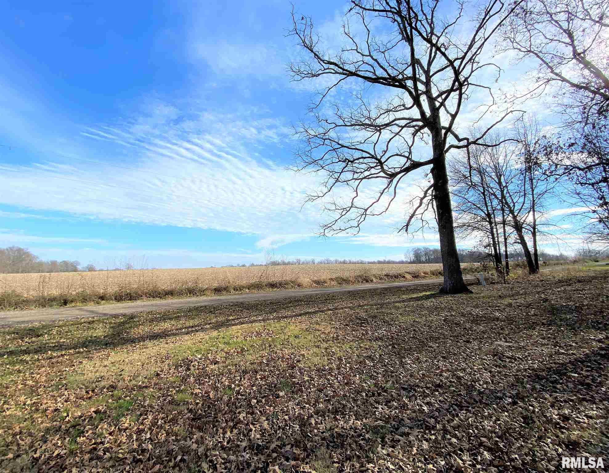 2173 Charlton Road Kell, IL 62853 - Photo 3 of 44