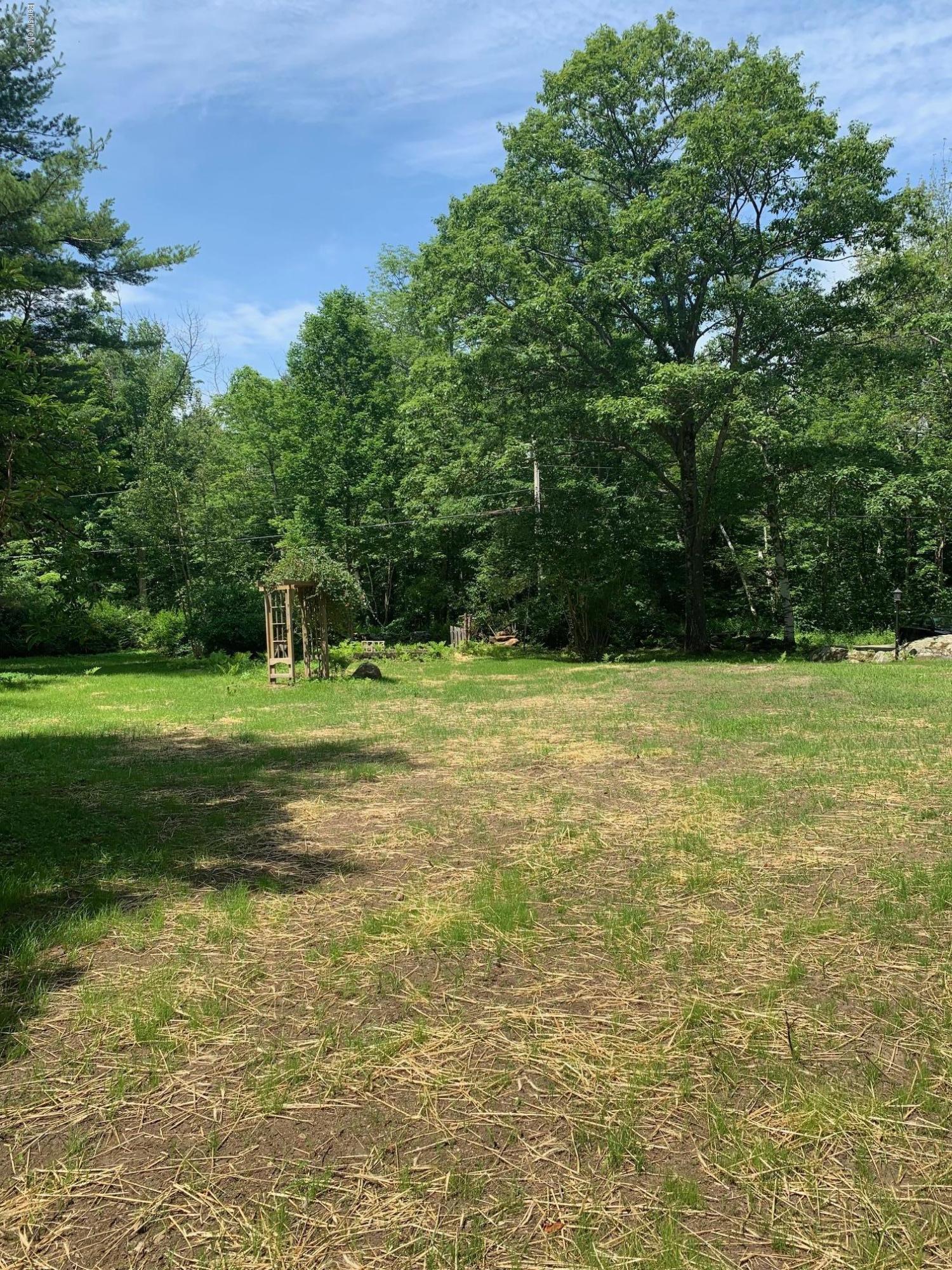 834 George Carter Road Becket, MA 01223 - Photo 58 of 61 a view of a green field with lots of bushes