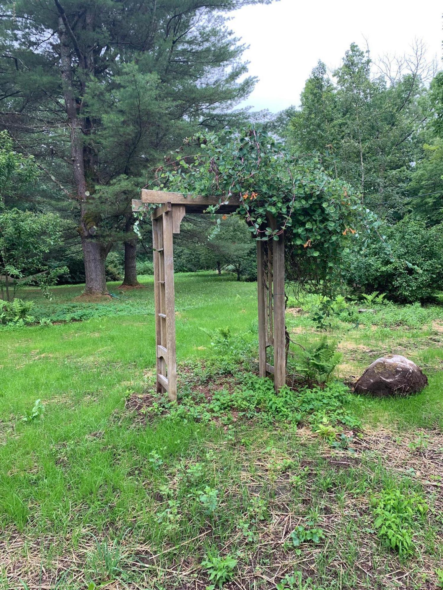 834 George Carter Road Becket, MA 01223 - Photo 61 of 61 a view of a garden with a tree
